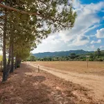 Nyaraló Gli Ulivi - La Zirichelta