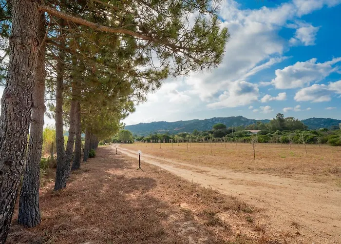 Gli Ulivi - La Zirichelta Nyaraló *